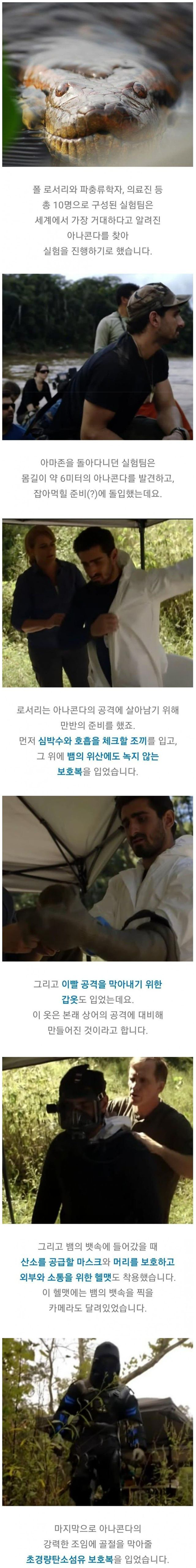 아나콘다에게 잡아먹히는 실험