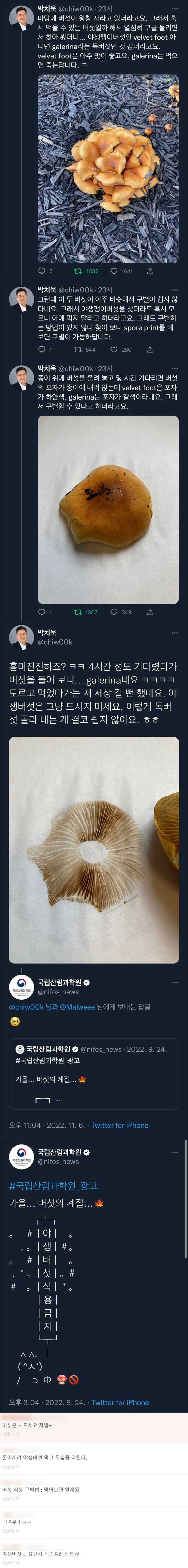 마당에 핀 버섯이 식용인지 독버섯인지 알아내는법