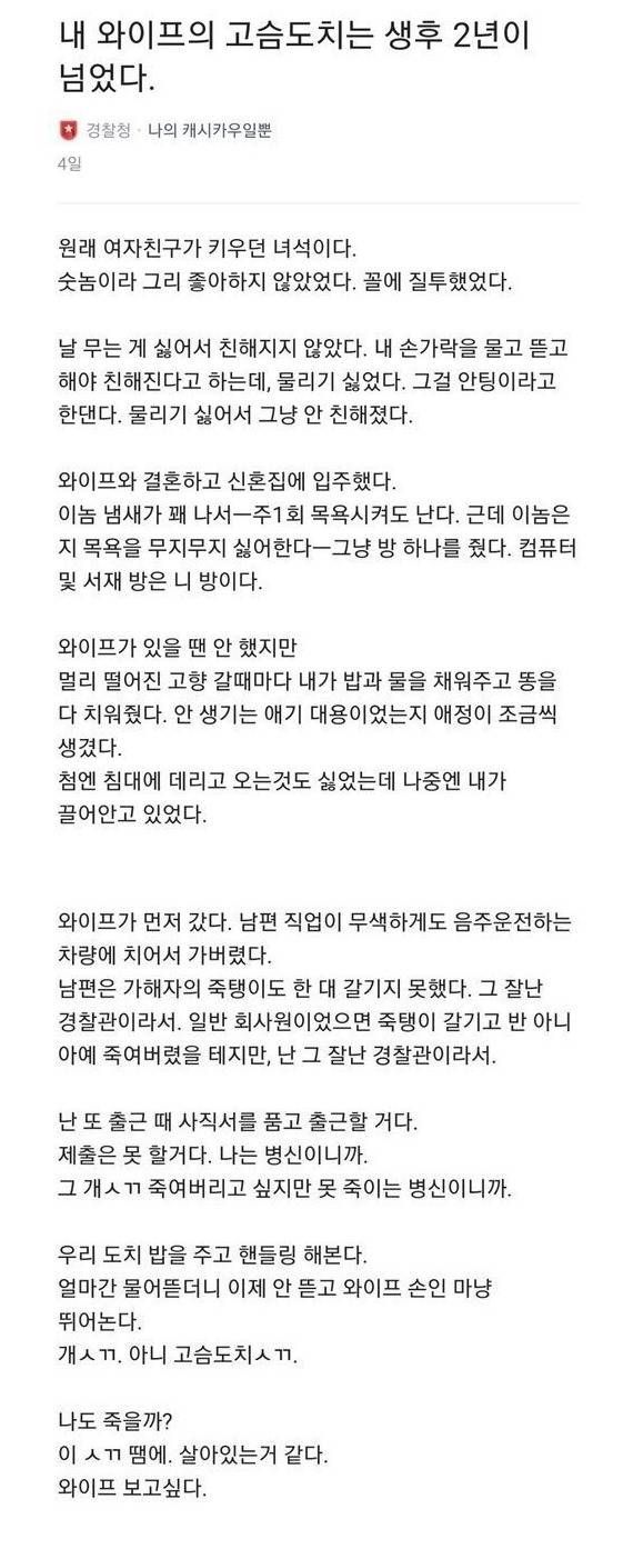 내 와이프의 고슴도치는 생후 2년이 넘었다