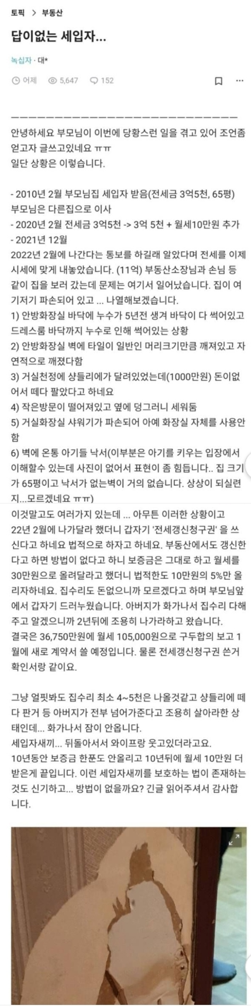 답이 없는 세입자