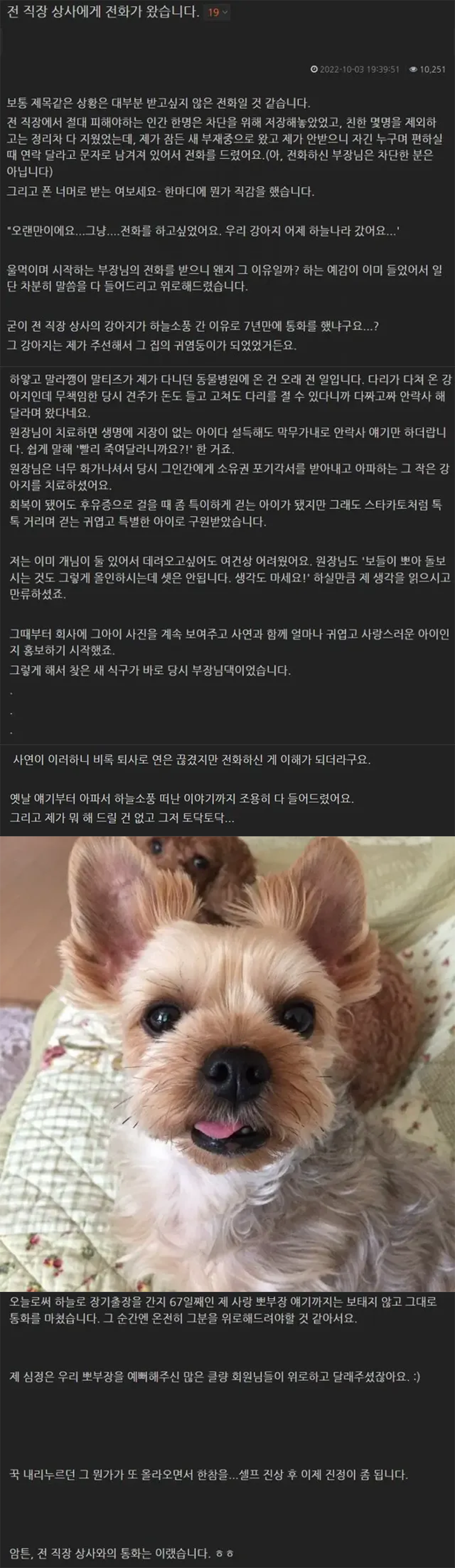 전 직장 상사에게 전화가 왔습니다.