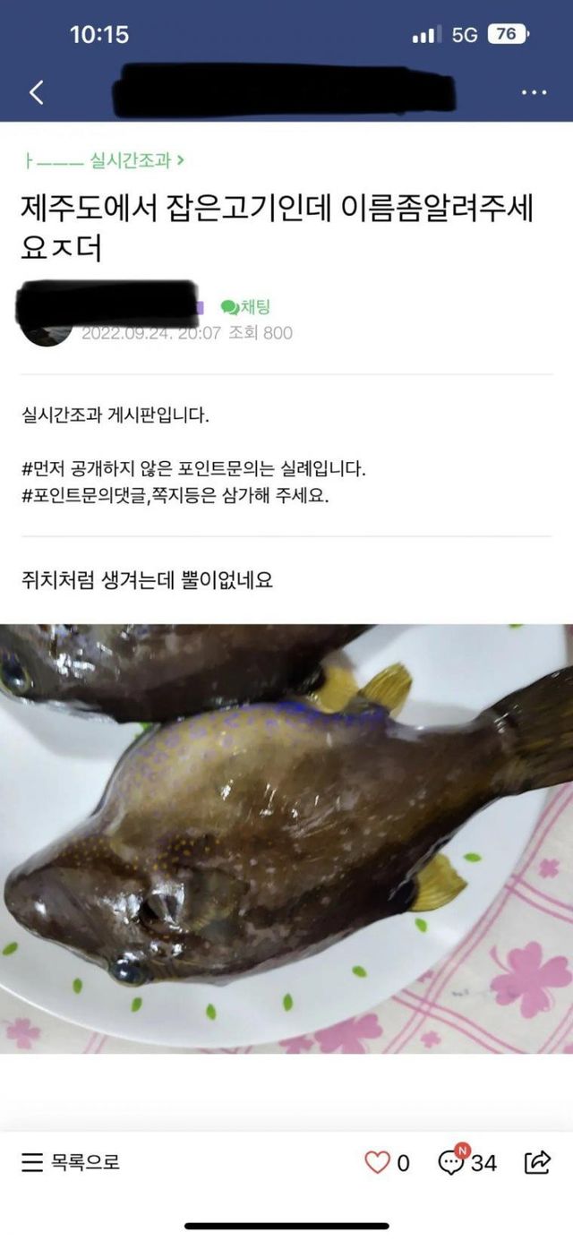 낚시초보자가 잡아온 고기때문에 난리났었던 어느 낚시카페