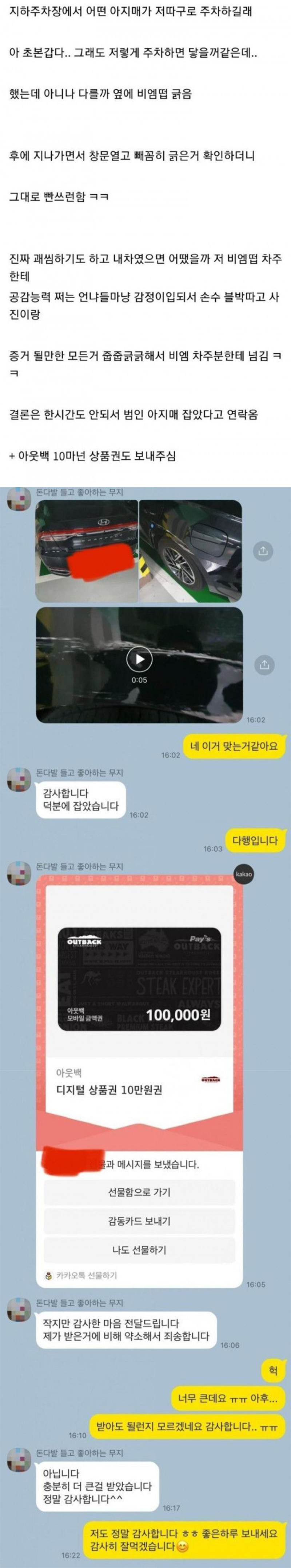 주차하다가 BMW 긁고 빤스런한 아지매